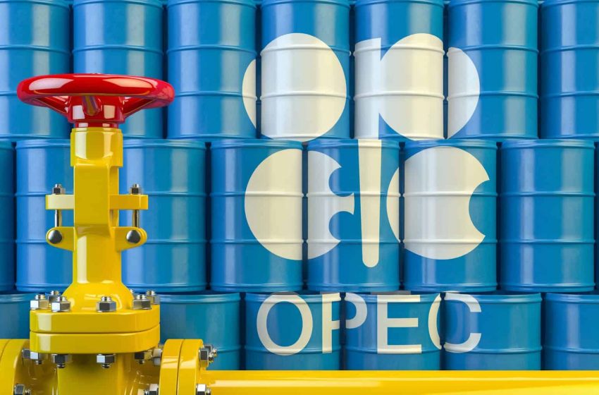 OPEC daily basket price stood at $46.91 a barrel Wednesday