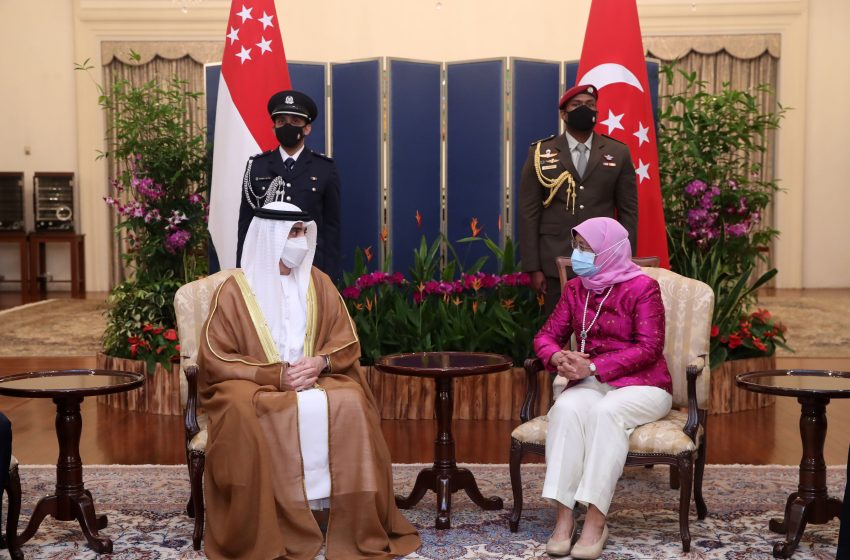  UAE Ambassador presents credentials to Singaporean President