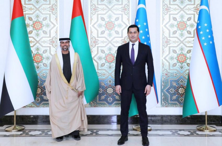  UAE President sends message to President of Uzbekistan on growing bilateral relations