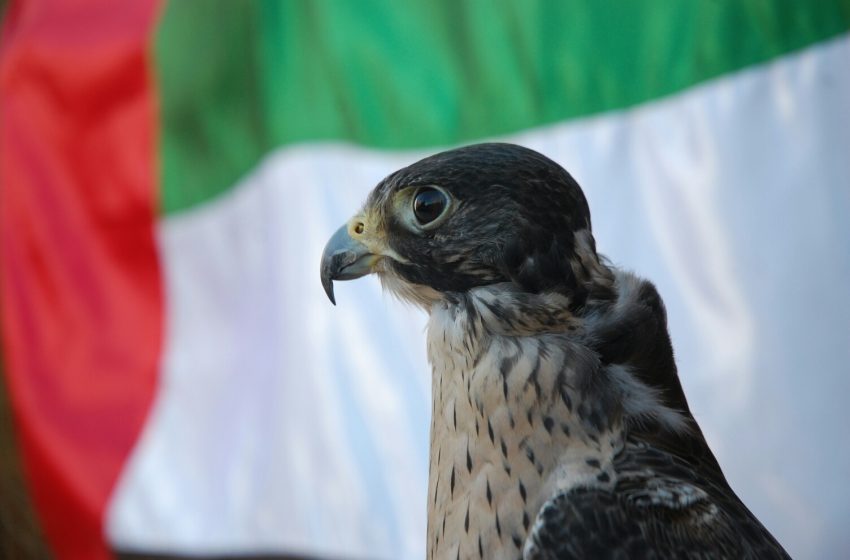  ADIHEX hosts scientific conference on future of falconry