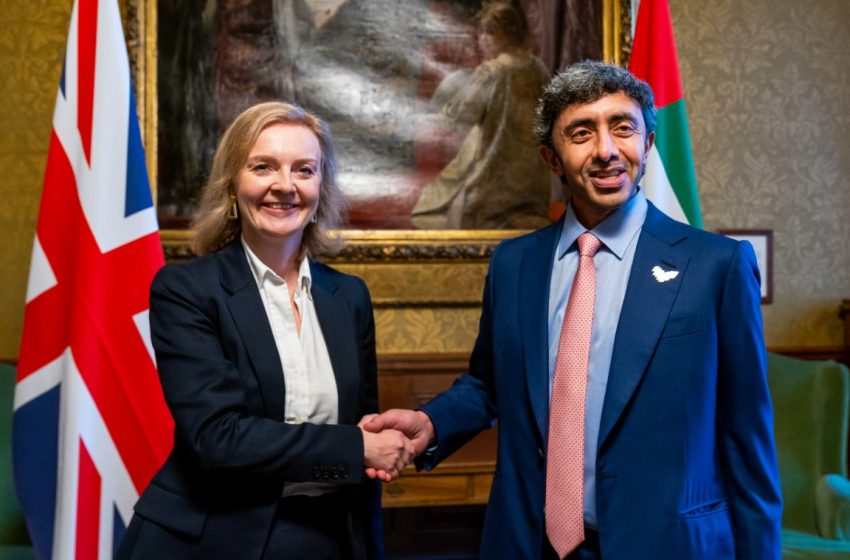  Abdullah bin Zayed, UK Secretary of State review regional developments