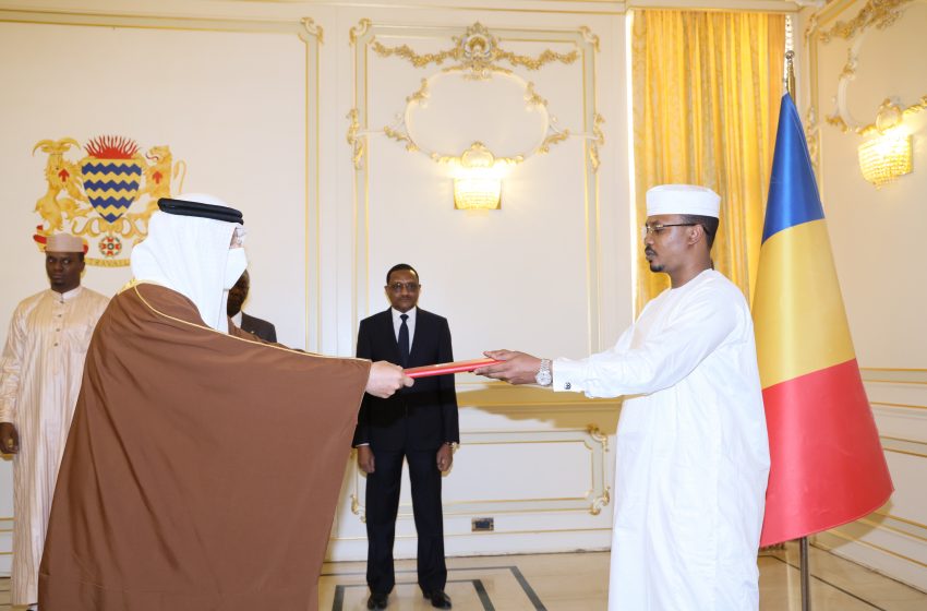 UAE Ambassador presents credentials to Chadian President