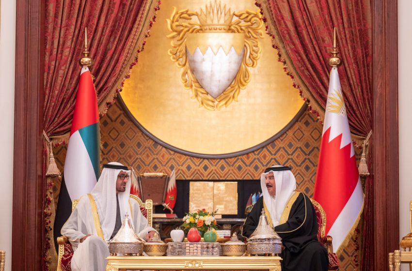  Mohamed bin Zayed, King of Bahrain discuss consolidating cooperation ties