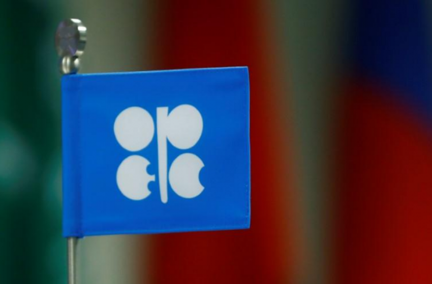  OPEC daily basket price stands at $116.50 a barrel Thursday