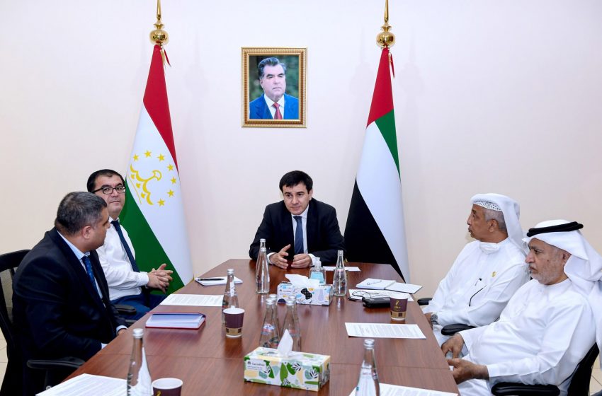  UAE-Tajikistan relations steadily developing: Ambassador