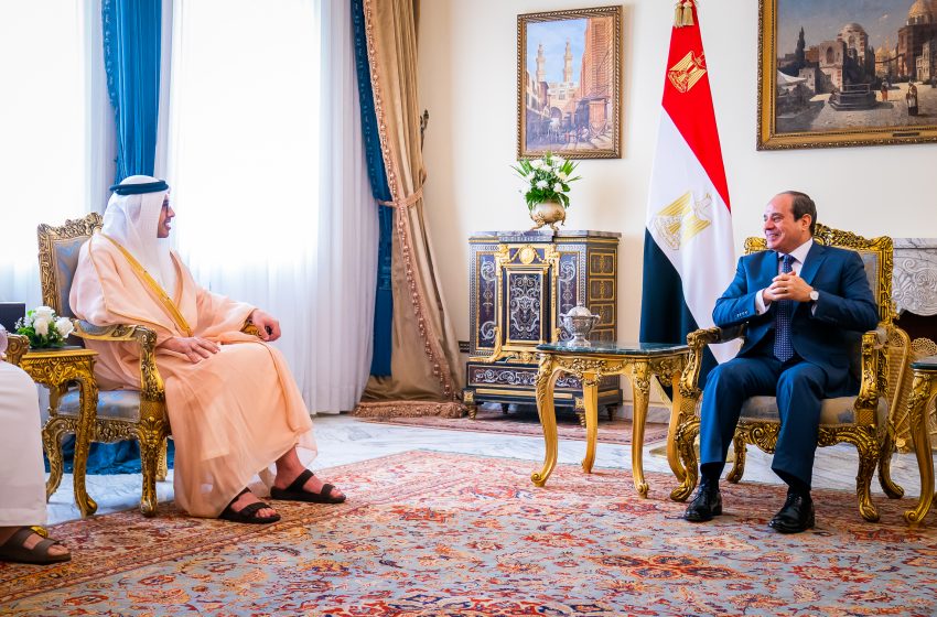  Egyptian president receives Abdullah bin Zayed; underscores UAE’s central role in establishing regional peace