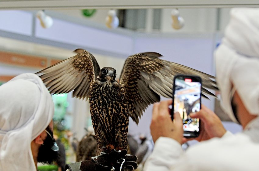  Abu Dhabi International Hunting and Equestrian Exhibition launches specialised heritage, art competitions