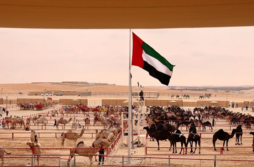  Al Dhafra Festival to begin on October 28