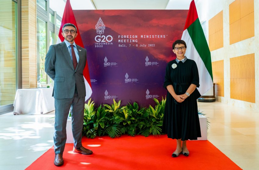  Abdullah bin Zayed, Indonesian Foreign Affairs Minister meet on sidelines of G20 meetings