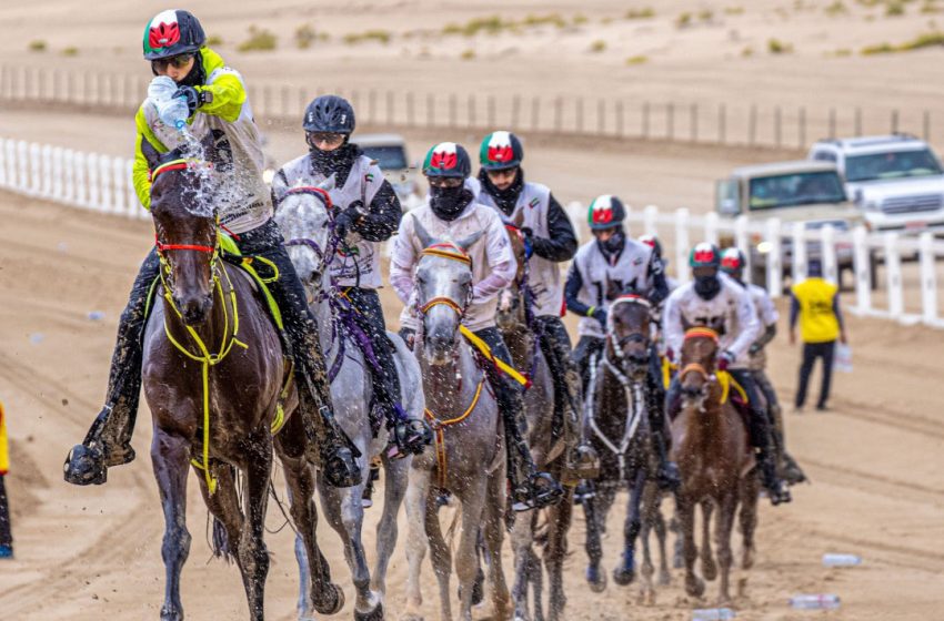  Mansour bin Zayed approves 2022-2023 season programme of Emirates International Endurance Village