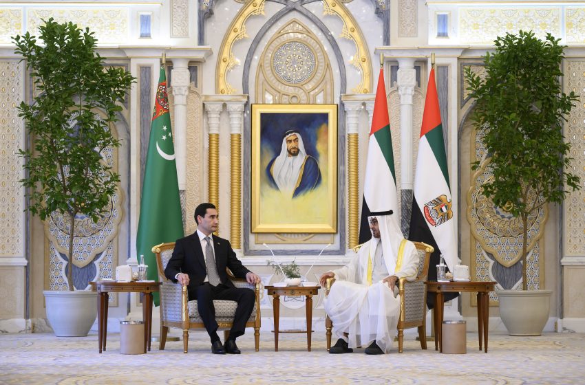  UAE President receives President of Turkmenistan