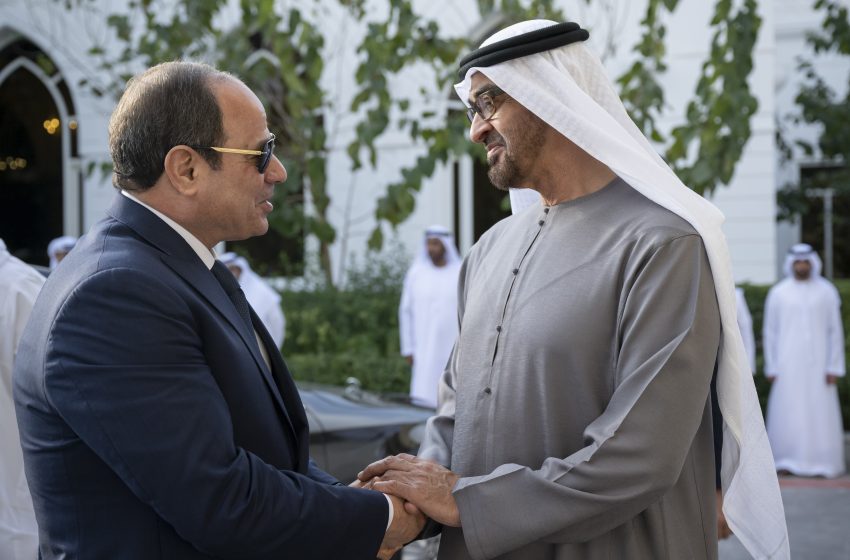  UAE President receives Egyptian President