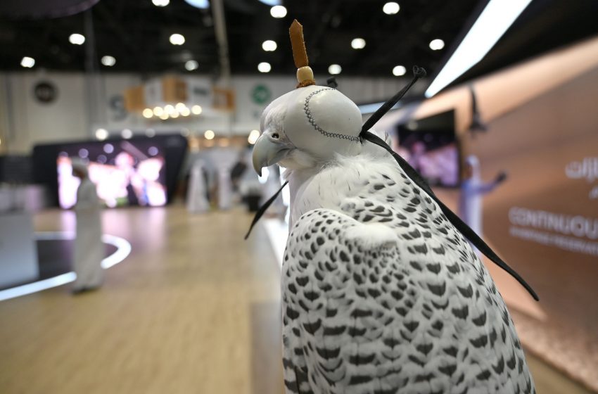  ADIHEX launches 2nd ‘Most Beautiful Falcon Hood’ competition