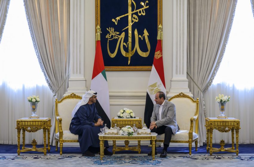  UAE and Egyptian presidents discuss brotherly ties