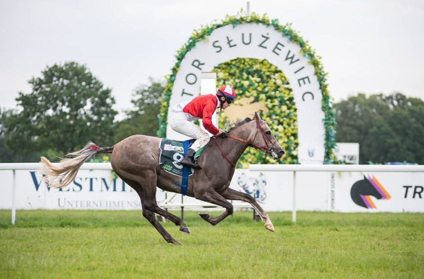 Poland to host Al Wathba Stallions Cup