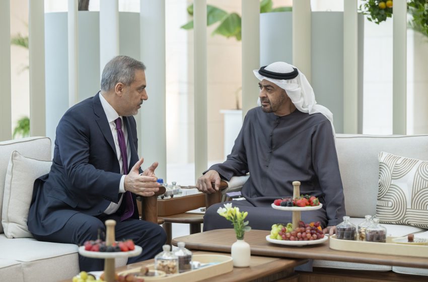  UAE President receives Turkish Foreign Minister